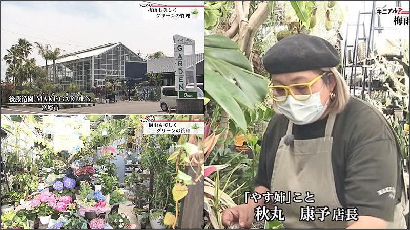 UMKテレビ宮崎 スーパーニュース「梅雨も美しく グリーンの管理」出演時のやす姉